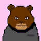 PolyBears Collection