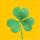 Shamrock of Hapiness