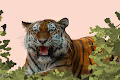 lion see you