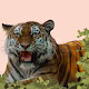 lion see you