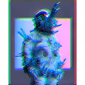 Wickedd_x Collection