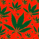 Cannabis leaves in different backgrounds