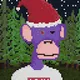 Monke NFT