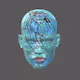 Cyber Faces..