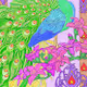 The Peacock_NFT