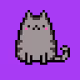 Cat AE Collection