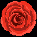 ROSE CLUB