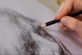 DRAW-art01