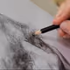 DRAW-art01