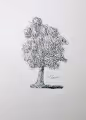 hand drawn pen art