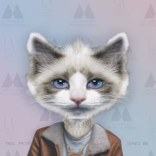 Celebrity Cat Modeling Agency