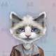 Celebrity Cat Modeling Agency