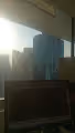The office window