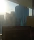 The office window