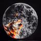 The wolf and the moon