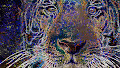 Hendil Art Collection