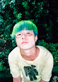 peregrine_gyl Music -beta-
