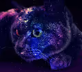 CosmoCat Collection - neon space cat