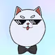 CatboyyX