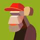 Various_monkey_collection