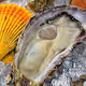 Oystergram