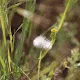 BEAUTY OF NATURE 21