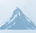 The white world