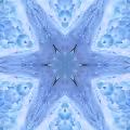 Time Fractals