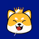 Shiba Inu Collection Club