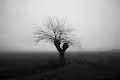 Fog throught my eyes