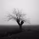 Fog throught my eyes