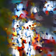 metaPOLYchroMATIC