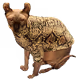 Hairless Sphynx Elf Cat Collection