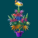 CryptoCannabisClub NFTokins'