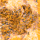 Generative Abstract