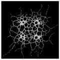 Before the RNA world