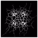 Before the RNA world