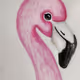 flamingolast