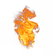 FIRE Series