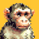 golden monkey 1100 limitado