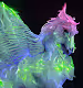 Pegasus bey horse