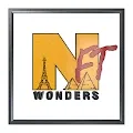.nftWonders.