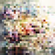 SallyPemdas Official Tiny DCGAN (Polygon)