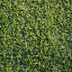 Touch Grass