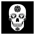 Calaveras Collection