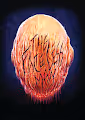 The Faceless Man Posters