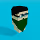 voxelpunk gang