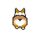 Lazy Corgi