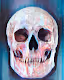 SKULL-OGRAPY
