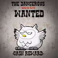 Bounty Owl